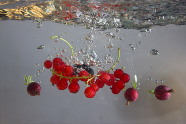 Similar image 2931552