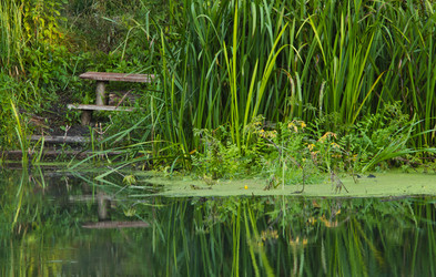 Similar image 2931750