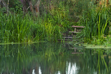 Similar image 2931751