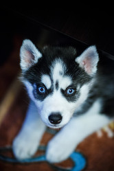 Similar image 2931861