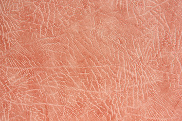 Similar image 2931866