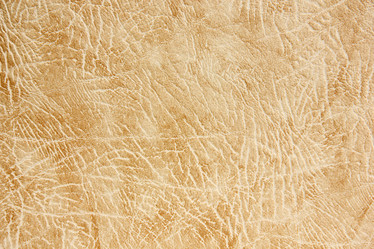 Similar image 2931868