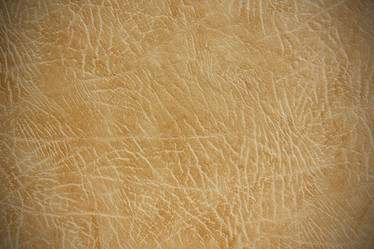 Similar image 2931869