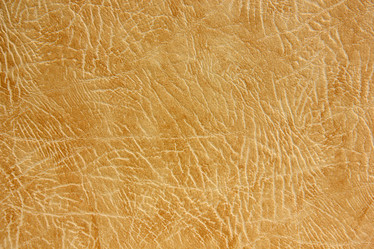 Similar image 2931871