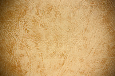 Similar image 2931875