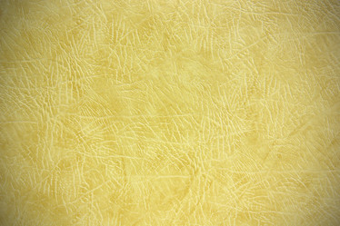 Similar image 2931877