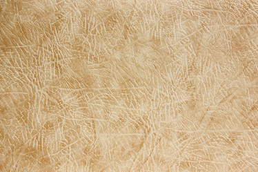 Similar image 2931880