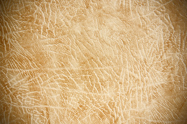 Similar image 2931882