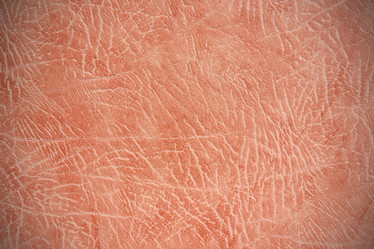 Similar image 2931883