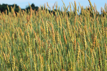 Similar image 2932006