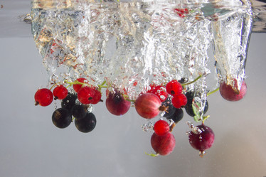 Similar image 2932062