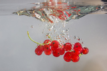 Similar image 2932066