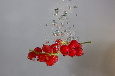 Similar image 2932067