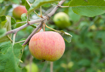 Similar image 2932180