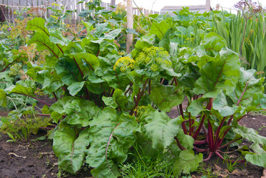 Similar image 2932181