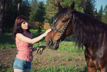 Similar image 2932183