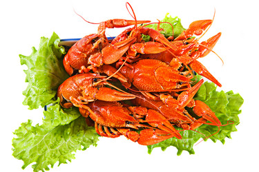 Similar image 2932262