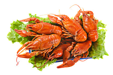 Similar image 2932267