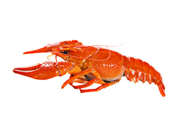 Similar image 2932269