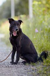 Similar image 2932323