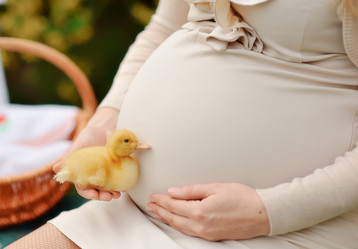 Similar image 2932403