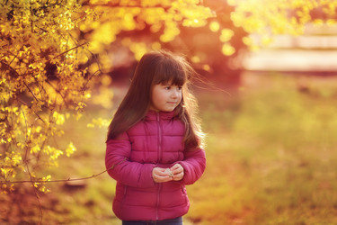 Similar image 2932411