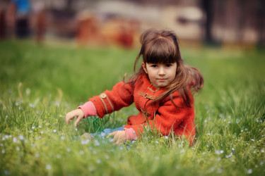 Similar image 2932414