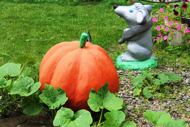 Similar image 2932482