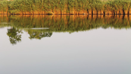 Similar image 2932555