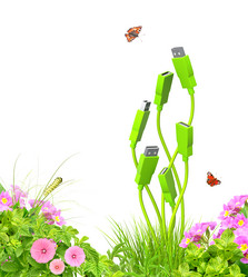 Similar image 2932633