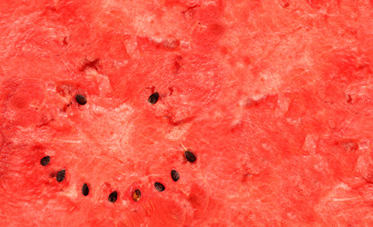 Similar image 2932645