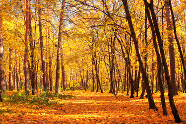 Similar image 2932651