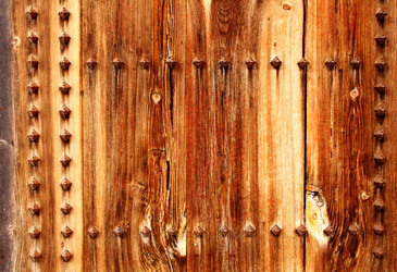 Similar image 2932654