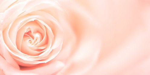 Similar image 2932661