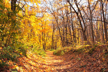 Similar image 2932663