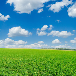 Similar image 2932666