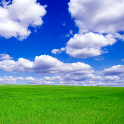 Similar image 2932667