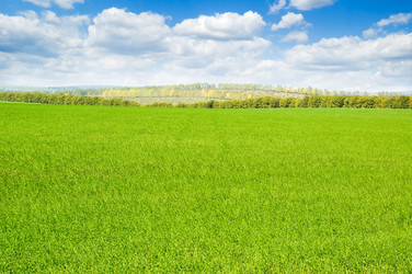 Similar image 2932675