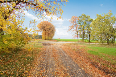 Similar image 2932679