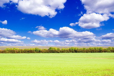 Similar image 2932680