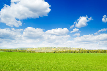 Similar image 2932688