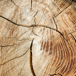 Similar image 2932692