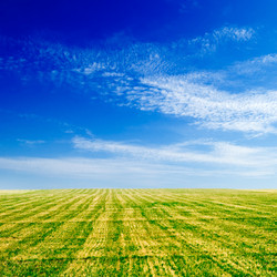 Similar image 2932694