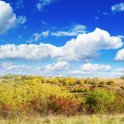 Similar image 2932695