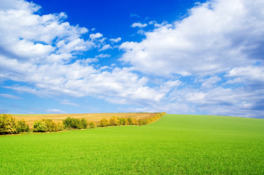 Similar image 2932697