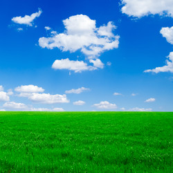 Similar image 2932699