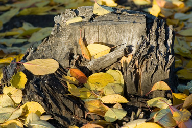 Similar image 2932701