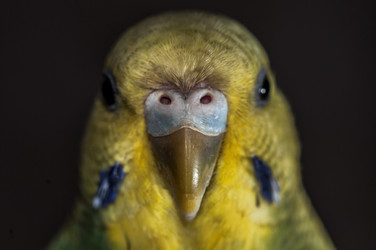 Similar image 2932702