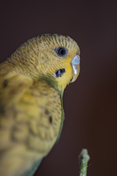 Similar image 2932704