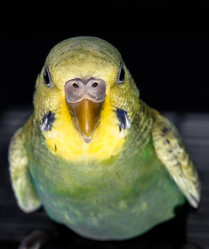 Similar image 2932707